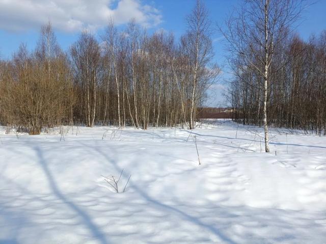 Лот 4018808